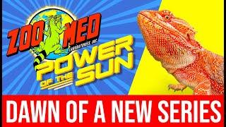 Welcome to Zoo Med's Power of the Sun!