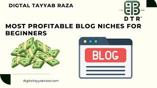 Most profitable blog niches for beginners : Digital Tayyab Raza