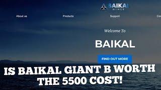 IS BAIKAL GIANT B WORTH THE COST?!