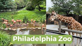 Visiting the Philadelphia Zoo