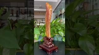 缅甸树化玉连底座总高41净高31宽9厚4重2.8斤！缅甸树化玉，#树化玉 #木化石 #硅化木 #玉石 #远古树木 #化石   #宝石 #地质奇观 #珍贵藏品 #自然瑰宝 #纹理独特 #色彩丰富