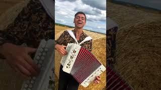 Паренёк с гармошкой на сеновале!  #песня #дмитрийиващенко