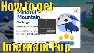 How to get Internaut Pup in [Google] Be Internet Awesome World | 9K Stock | 3 Stars Mindful Mountain