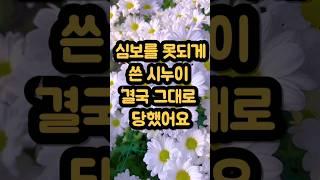 심보를 못되게 쓴 시누이 결국 그대로 당했어요