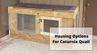 Types of Housing (and Natural Options!) For Coturnix Quail