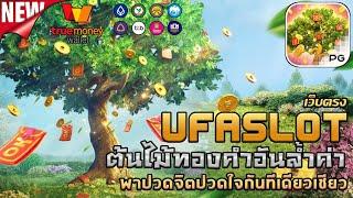 ufabet เว็บตรง สล็อต ufaslot สล็อตแตกง่าย ยูฟ่าสล็อต เว็บพนันออนไลน์ที่ดีที่สุด : Fortune Tree