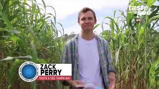 HarvestMoon Fun Farm Maze | Taste and See Tampa Bay