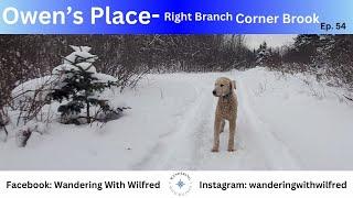 Wandering through the right branch of Owen's Place!