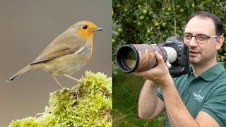 Bird Photography for Beginners: 9 Tips with Paul Miguel Photography