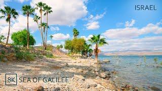 Relaxing Walk along the Shores of the SEA OF GALILEE (all episodes)