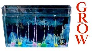 Discovery Crystal Aquarium Instructions by Cool Science Projects