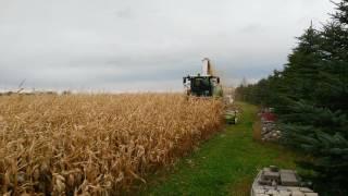 Chopping Corn