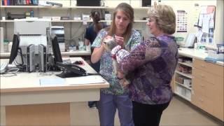 Ralston Vet Clinic Tour