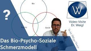 Ganzheitliche Schmerztherapie: Ohne geht es nicht - Das Bio-Psycho-Soziale Schmerzmodell erklärt