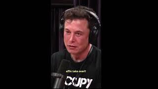 Do we need to slow down AI #shorts #elonmusk #joerogan #ai