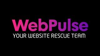 Meet WebPulse -Your Website Rescue Team