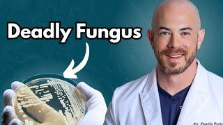 What is Candida Auris? (Deadly Fungus?)