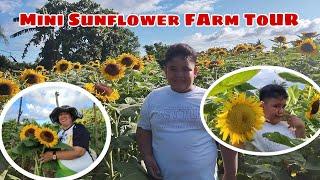 Mini Sunflower Farm Tour/ Dudotskie TV