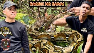 BAGSIK NG SAWA, NATIKMAN NI DOL COBRA!! #davaocity #CobraTeam #Banakon #KingCobra #reticulatedpython