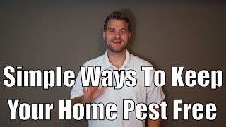 Simple Ways to Keep Your Home Pest Free