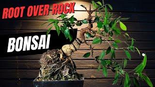 Root Over Rock: The Ultimate Bonsai Shaping Guide