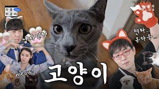 나만 없는 고양이 | 라플위클리 S4 ep.3 - 고양이 #궤도 #안현모 #이동진 [LIFEPLUS]