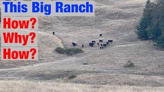 How I Got This Big Ranch All of a Sudden