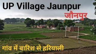 बारिश में गांव की हरियाली शाम का समय #Village #life #trending #viralvideo