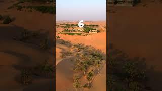Luxury Retreats: UAE's Top 10 Staycation Hotels  #uaetravelguide #travel #dubaiplaces
