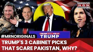 Trump's New Cabinet Picks Tulsi Gabbard, Mike Waltz, Marco Rubio Scare Pakistan; Here's Why?