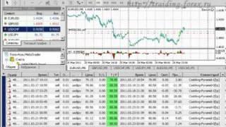 Лучший Советник Forex! - 192% за 50 Рабочих Дней! __.mp4