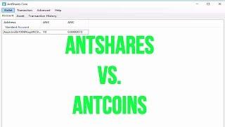 Antshares vs Antcoins | EARN DIVIDENDS TODAY! 