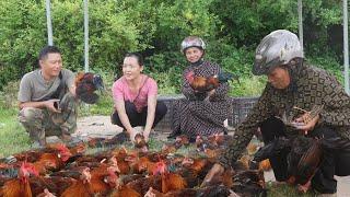 A Lucky Day, Amy Sells A Lot of Wild Chickens in The Market  2 Years Living in Forest