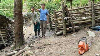 Robert called a sawyer to cut wood to make pigsty. Green forest life