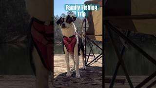 Caught a couple fish and lots of awesome memories #family #shortvideo