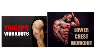 Lower Chest Workout+Triceps Workout. /Rohan Fitness/#viral#trending#like#share#comment