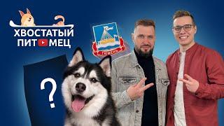 Интервью с автором канала "Хвостатый Питомец"