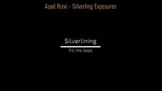 Asad Rizvi - Silverlining Exposures