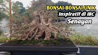 4 Bonsai unik inspiratif di PAMNAS Senayan