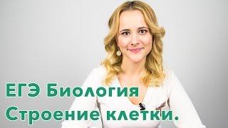 Подготовка к ЕГЭ по Биологии. Лекция 1