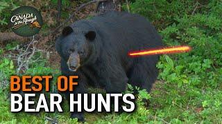 50 Bear Hunts in 15 Minutes! (ULTIMATE Bear Hunting Compilation) | BEST OF