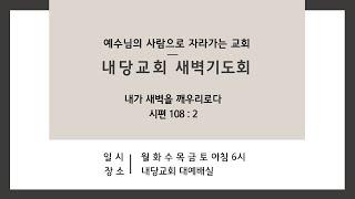 2025.6.19 | 내당교회 [새벽기도회] (역대상 19:1-20:8) -  김형준 위임목사
