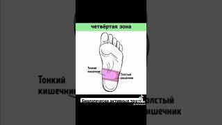 Биологически активные точки массируй