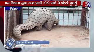 Diyodar : મોજરું ગામે ખેતર માંથી કીડી ખાઉં જાનવર મળી આવ્યો