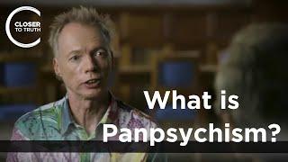 Andy Clark - What is Panpsychism?