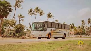 All things to do in Aruba - De Palm Tours