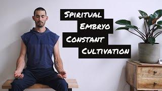 The Spiritual Embryo of Taoism | Growing Power Within You