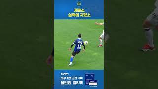 따봉 르소야 고마워~ | 8R 제르소 주요장면