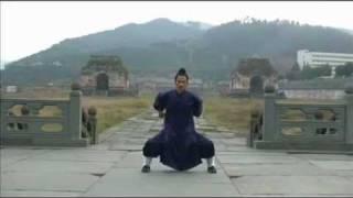 WuDang Five animals : Dragon, Tiger, Leopard, Snake, Crane