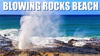 Exploring the Stunning Blowing Rocks Preserve in Jupiter, Florida: A Must-See Destination!